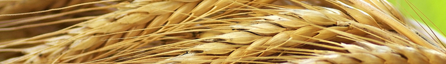 Несколько причин торговать в феврале вместе с Forex Club